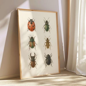 Ladybug and Beetle Printable Wall Art – Montessori Insect Poster for Kids, Nature Bug Art Print, Vintage Entomology Nursery Decor