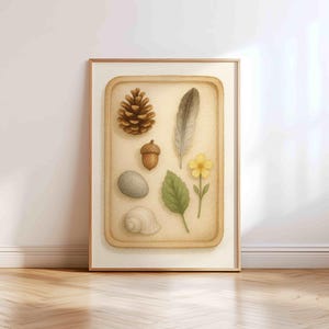Montessori Nature Tray Poster – Calm Object Study Printable for Kids Room, Homeschool, or Nature Table Decor