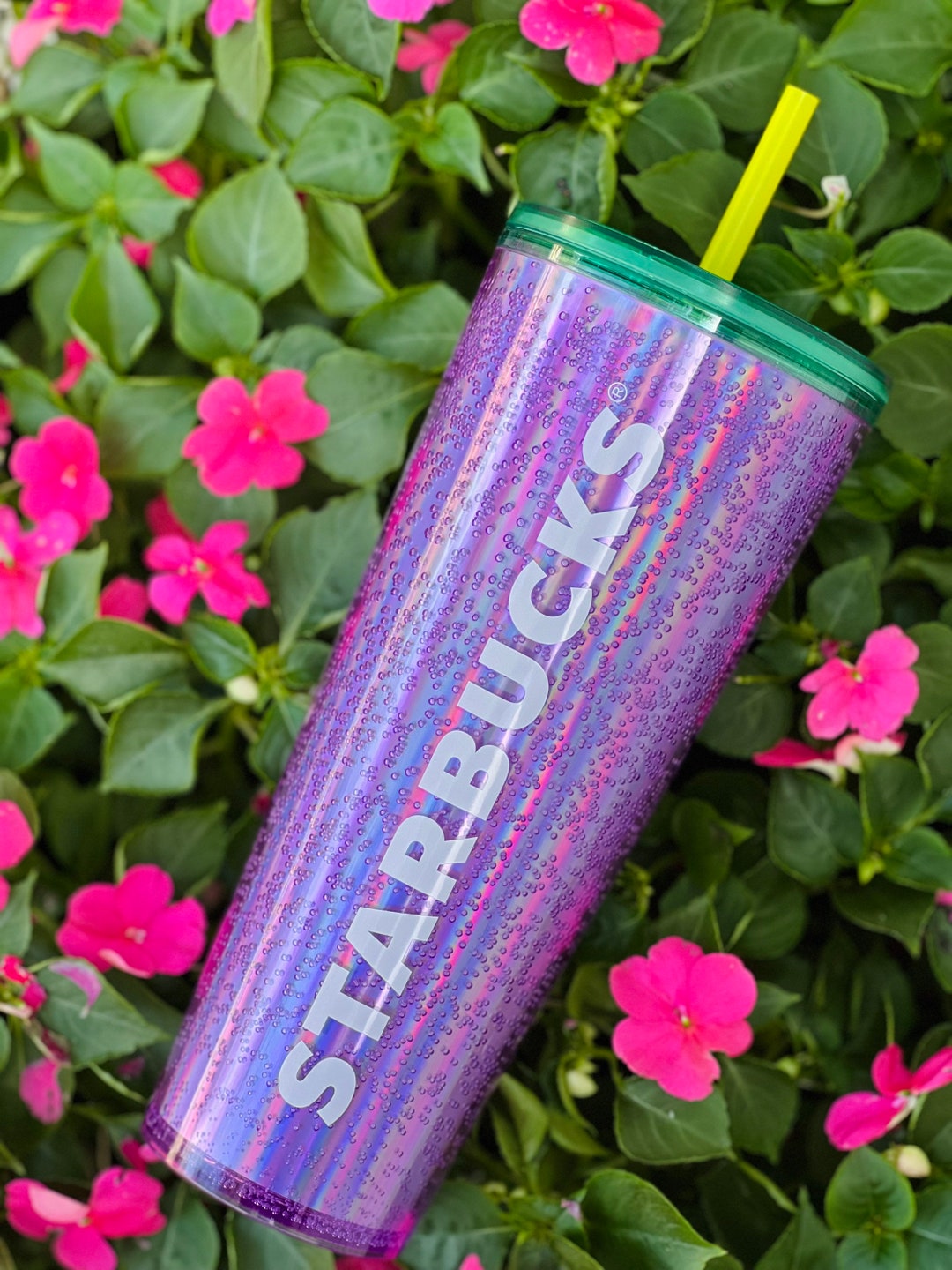 Starbucks Becher Merchandise - Sommer Edition 2024