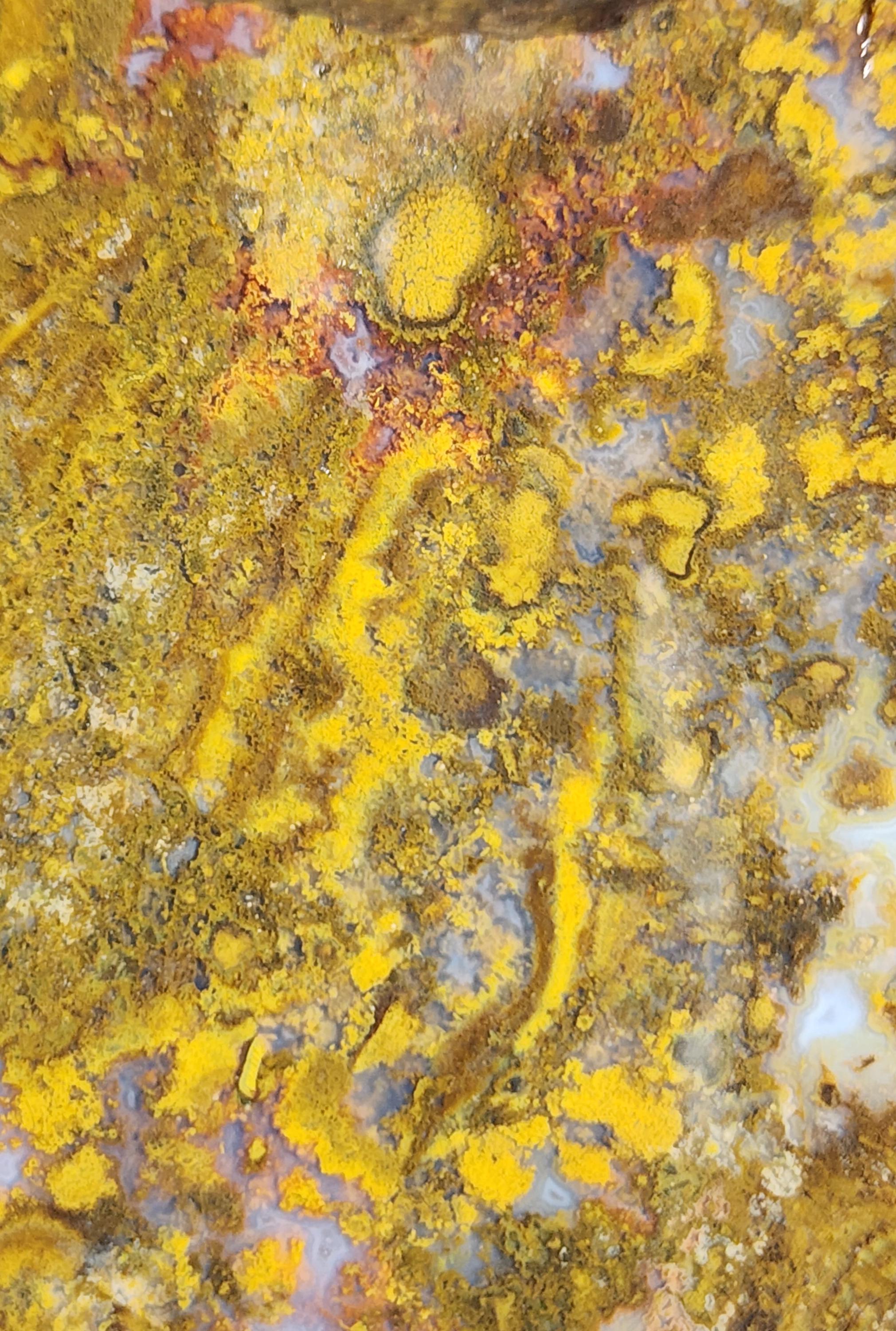 Bloody Basin Agate, Moss Agate, 1/2" slab, unpolished