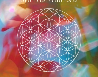 May include: A white line drawing of a flower of life geometric pattern centered on a blurred, multicolored background. The text SVG + PDF + PNG + JPG appears at the top, with EXPLORING ENERGY IN BUSINESS WITH BRAND SOMATICS and website text below.