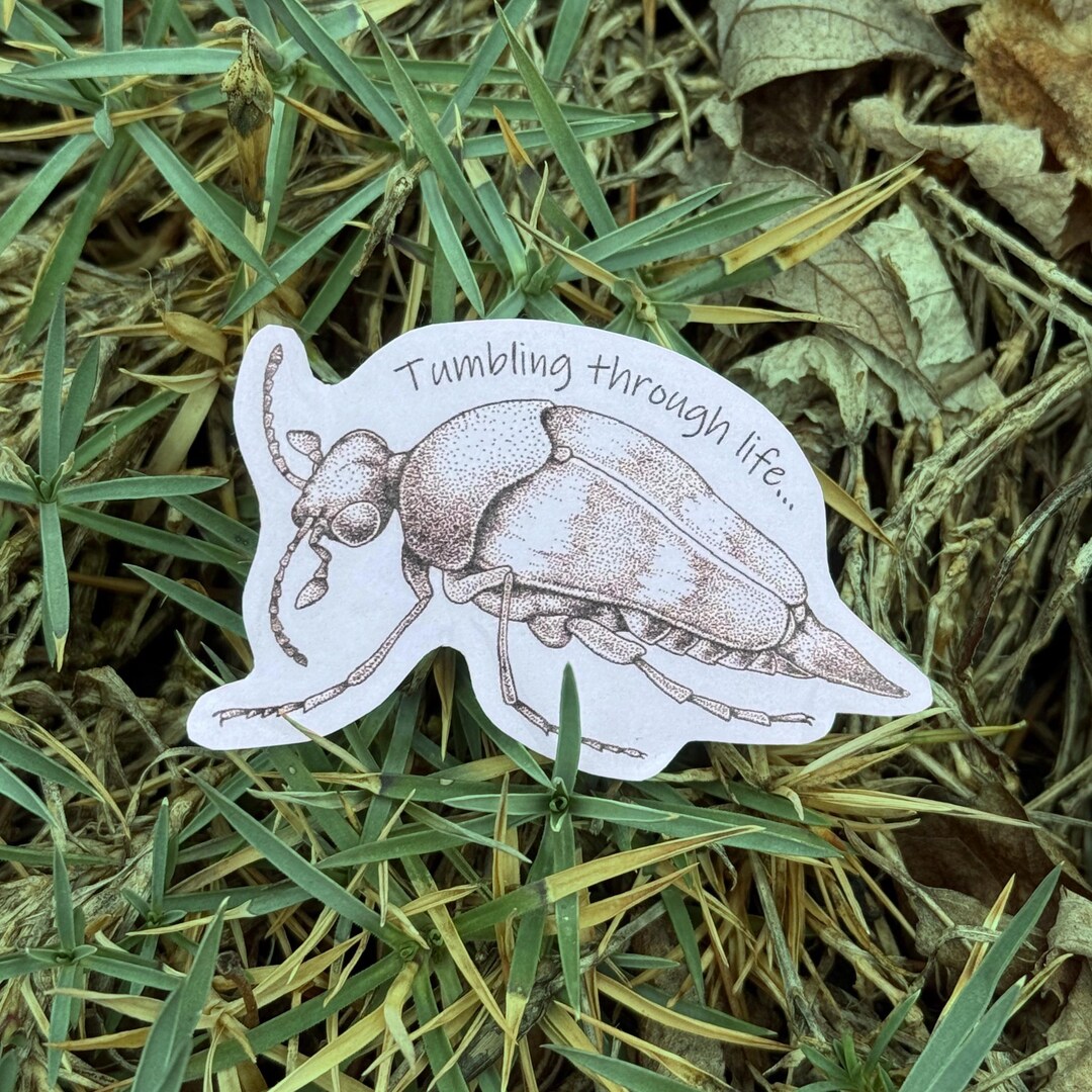 Tumbling Flower Beetle Sticker | Insect Entomology Decal Gift for Bug ...