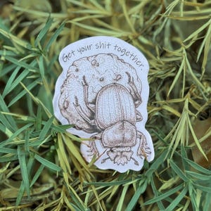 Dung Beetle Sticker | Insect Entomology Decal Gift for Bug Lovers, Laptops, and Water Bottles