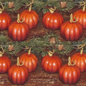 12 Artifical Primintive Thanksgiving Harvest Farmhouse Pumpkin Bowl Filler Set