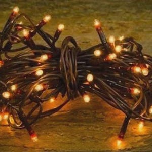 May include: A coiled string of decorative lights featuring dark brown wiring and numerous small, glowing amber-colored bulbs. The lights are bundled together in a circular formation, with individual bulbs extending outward from the central coil.