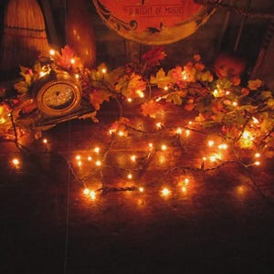 May include: A string of warm white LED fairy lights intertwined with artificial autumn leaves and berries. The garland features orange, yellow, and red foliage, creating a glowing display. A round clock and a sign reading A NIGHT OF MAGIC are visible.