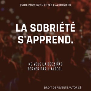 Addiction à l’Alcool : S’en Sortir のガイド PDF – 28 時間でのソブリエテ