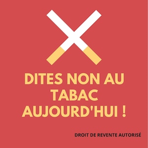 Stopper la Cigarette en 28 Jours – Ebook Anti-Tabac avec Tableau de Suivi + Conseils Pratiques
