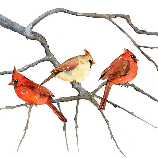 CARDENALES por Lorisworld - 10 x 8 Bird Print, Limited Edition