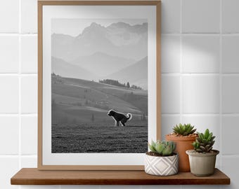 Impresión divertida de Goldendoodle haciendo caca - Descarga digital de arte canino en blanco y negro - Regalo original para amantes de las mascotas - Decoración de pared con un adorable cachorro