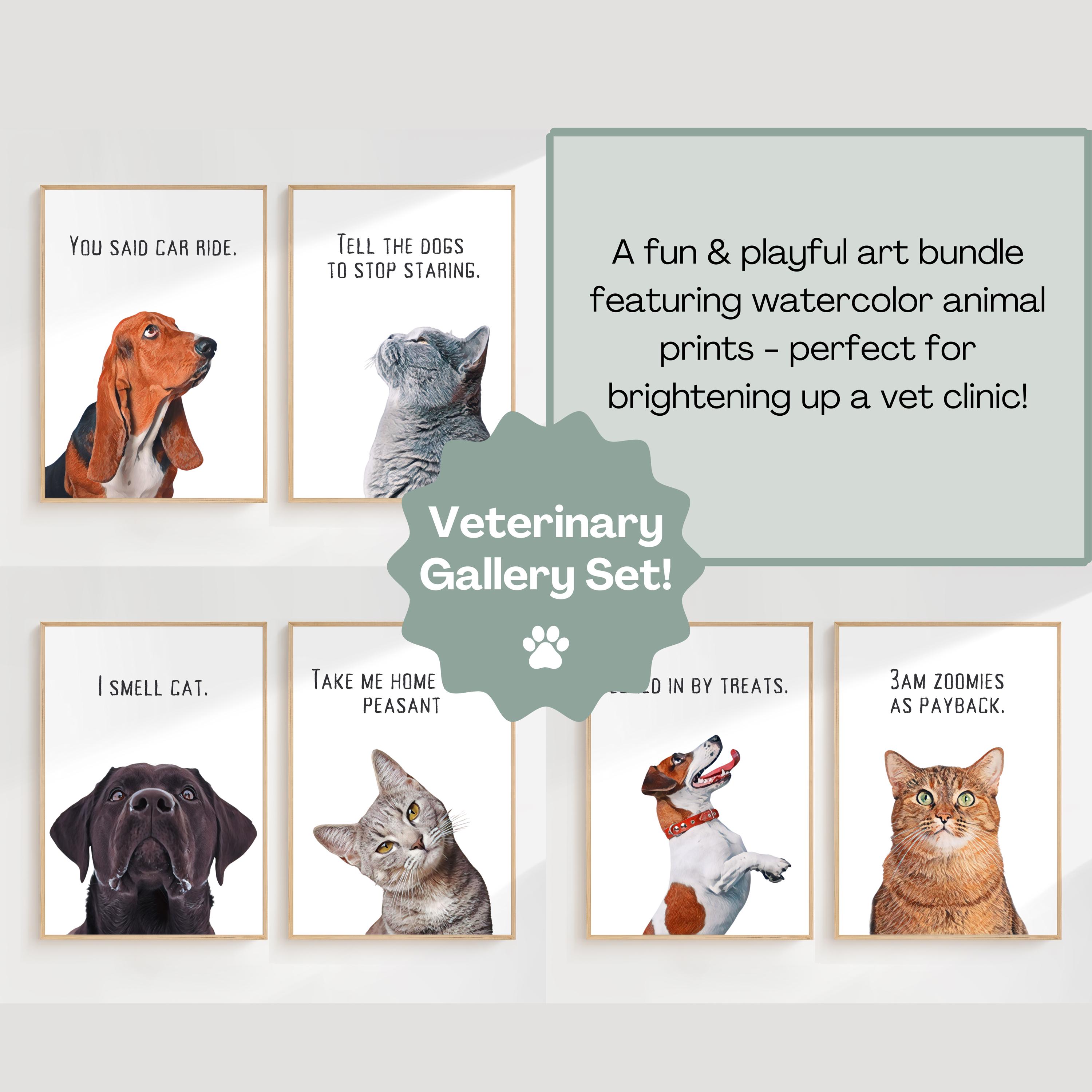 Cute Pet Clinic Backdrop - 7x5ft Veterinary Photo Background For Dog & Cat Photography