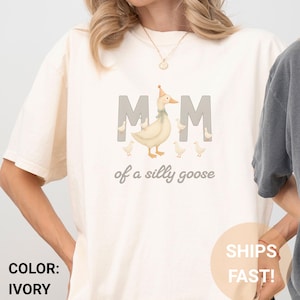 One Silly Goose 1st Birthday Matching Family Shirt, Silly Goose Shirt, Goose Birthday First Birthday, Mama Goose Shirt, Custom Goose Shirt