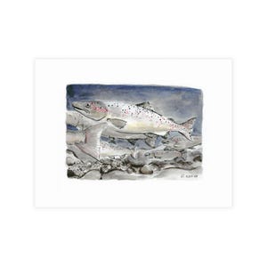Atlantic Salmon Postcard by Rebecca Wang | Watercolor Postcard, Illustration Cards, Nature-Themed Stationery, Gift for Wildlife Lovers