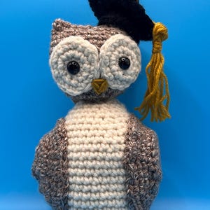 Graduation Crochet Owl