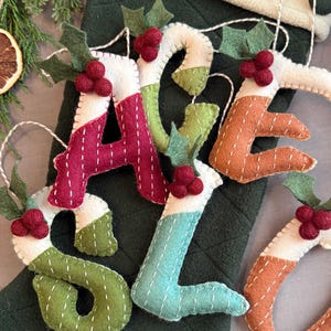 Può includere: Lettere in feltro che compongono la parola "SALE" in vari colori, tra cui rosso, verde e arancione, con dettagli bianchi. Ogni lettera è adornata con foglie di agrifoglio e grappoli di bacche rosse. Le lettere sono appese a una calza verde.