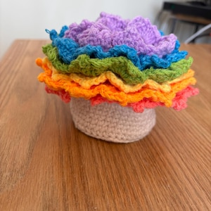 Rainbow Flower Pot Crochet Coaster Set