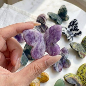 May include: A hand holding a purple butterfly-shaped stone carving. Other butterfly carvings in various colors and patterns are visible, including green, black and white, and yellow. The carvings are displayed on a white surface.