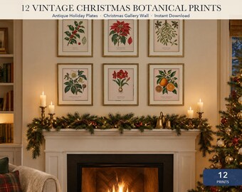 Christmas Botanical Prints Set of 12, Vintage Holly Mistletoe Poinsettia Wall Art, Antique Holiday Plates, Printable Christmas Decor