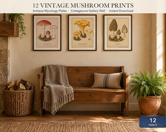 Vintage Mushroom Print Set of 12, Antique Mycology Wall Art, Cottagecore Botanical Prints, Fungi Gallery Wall, Digital Download