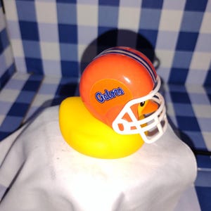 New football team Florida gators small duck