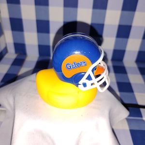 New football team Florida gators small duck