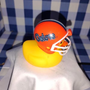 New football team Florida gators small duck