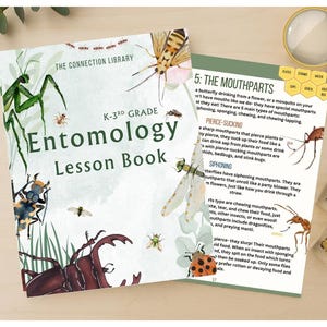 Entomology Unit Study. K-3rd Grade. Digital Download.