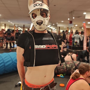 BadPups Puppy Play Pride LGBTQ+ Kink Gear Crop Top Tee
