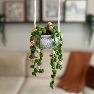Hanging Crochet Plant - Vines and Flowers