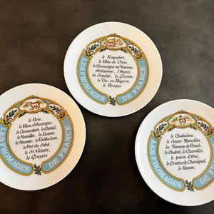 Vintage 1977 decorative cheese plates from the &quot;Les Fromages de France&quot; collection.