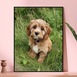 Può includere: Una stampa incorniciata con un cucciolo marrone chiaro e soffice con un petto bianco, seduto in erba verde alta. Il cucciolo ha occhi scuri e un collare nero. La stampa è esposta su una superficie di legno con oggetti decorativi e una pianta in un vaso.