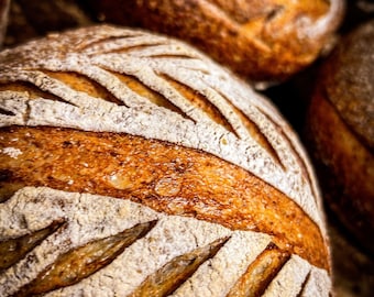 Ricetta facile per il pane a lievitazione naturale – Non è necessario rinfrescare il lievito madre (PDF)