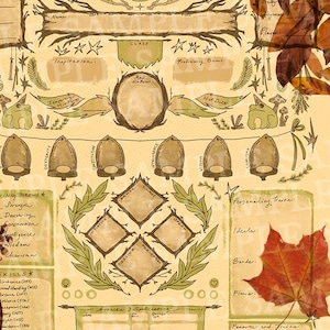 Puede incluir: Una hoja de personaje de Dungeons and Dragons imprimible con un tema de bosque. La hoja está decorada con hojas, bellotas y setas. El texto "Full DnD 5E Character Sheets" está impreso en la parte inferior de la hoja.