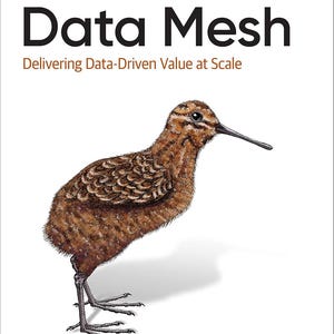 Data Mesh: Delivering Data-Driven Value at Scale | 1st Edition