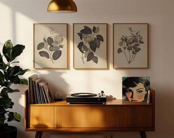 Set von 3 druckbare schwarz-weiße botanische Kunst | Digitaler Download für Wohnkultur | Vintage Pflanzenkunde