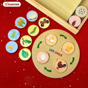 Rompecabezas del ciclo de la vida, juguetes educativos Montessori, tarjetas para emparejar, juguetes educativos para niños pequeños, juego de mesa para niños