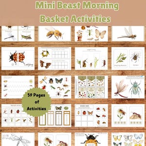 Printable Insect Morning Basket Activities - Printable Montessori Activities- Mini Beast Maths - Bug Flashcards - Prewriting Tasks - A4 PDF