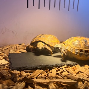 May include: A rustic wooden sign with the text "Welcome to our home" in white lettering. The sign features a distressed finish and a simple, inviting design, perfect for entryway decor.
