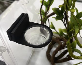 Ciotola magnetica per cibo per gechi, ripiano per alimentazione, decorazione per terrario di rettili arboricoli e regalo per animali domestici