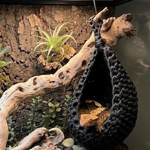 Reptile Paracord Basket Hide Hammock, Gecko and Lizard Terrarium Decoration and Habitat Enrichment