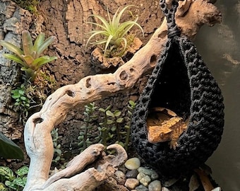 Cesta de paracord para répteis, rede para esconderijo, decoração de terrário para gecko e lagarto e enriquecimento do habitat.