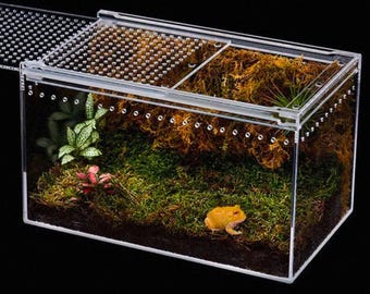 Water Seal Terrarium Enclosure for Spider, Tarantula, Amphibian, Reptile and Isopod | Pet Gift