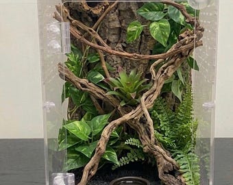 Arboreal Terrarium Enclosure for Arboreal Gecko, Jumping Spider, Tree Frog | Pet Gift
