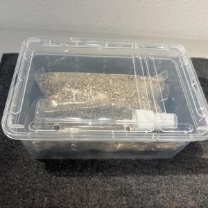 May include: A clear plastic container with a lid, holding sealed bags of granular material and a clear tube with a white cap. The container sits on a dark gray, textured surface. The contents are visible through the transparent plastic.