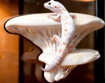 Mensola magnetica a forma di fungo per geco arboricolo, ideale per arrampicarsi e come decorazione per terrari / Regalo per rettili