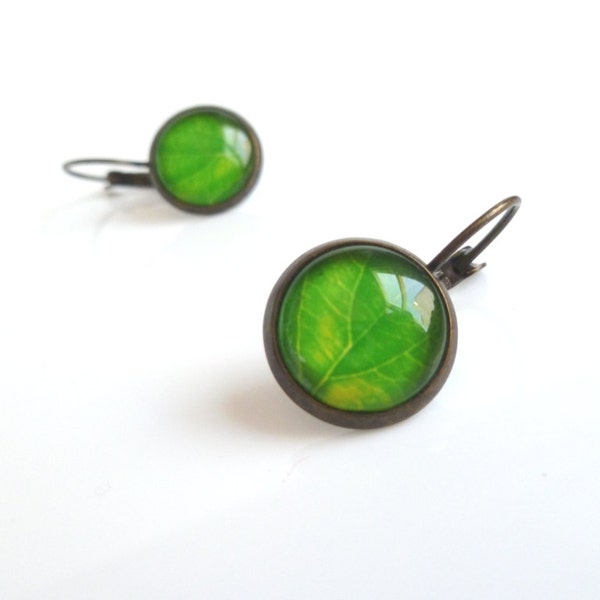 Green Leaves Earrings - glass covered leaf photograph in round bezel dangle - antique brass / bronze leverback - simple fresh spring style