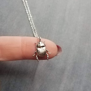 Collana con piccolo insetto argentato, ciondolo a forma di scarabeo sottile e delicato con catenina da 45 cm, insetto rosa di giugno, catenina in argento sterling opzionale, gioiello con ciondolo a forma di insetto 3D