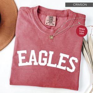 Comfort Colors® Vintage Eagles Shirt, Eagles Game Day Shirt, College Spirit Eagle Mascot shirt, Teacher Gameday Shirt, Tailgate Football Tee