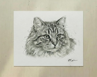 Handgeschilderd kattenportret, huisdierillustratie van foto, gepersonaliseerd kattenherdenkingscadeau.