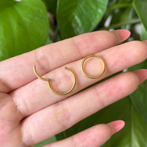 May include: Two gold-colored circular hoop rings. One ring is fully closed, while the other ring features a hinged segment that is partially open, revealing the mechanism used to secure the hoop in place. Both rings have a smooth, polished finish.